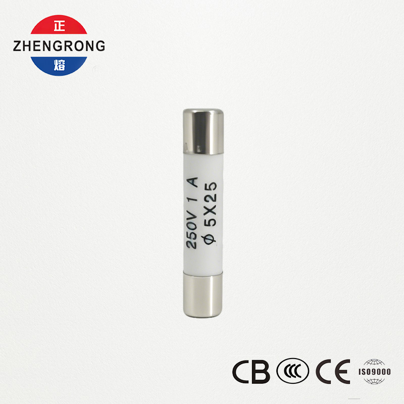 Vysoce kvalitní pojistky 5x25 mm R055 1A pro velkoobchodní zákazníky